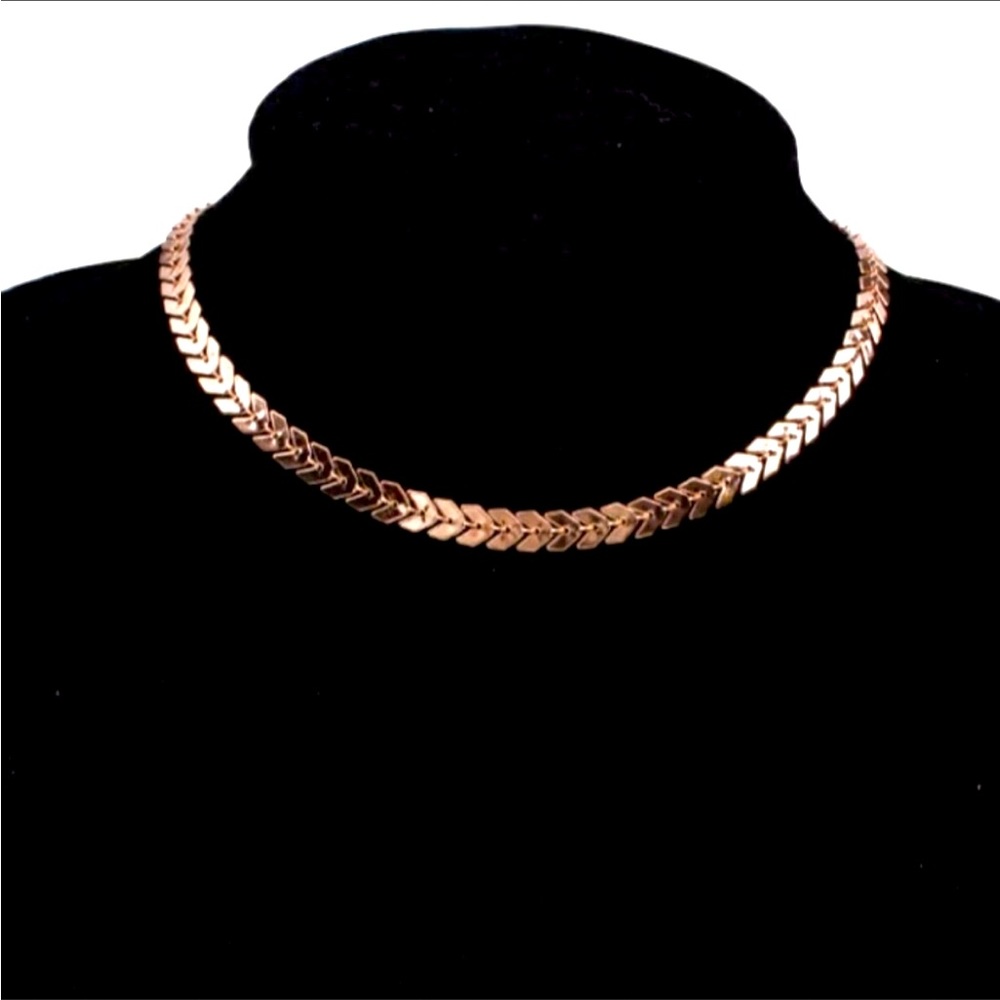 Gold Fish Bone Adjustable Choker Necklace
